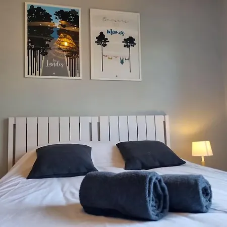 La Wave House - Maison Cosy Au Calme Proche * Sainte-Eulalie-en-Born